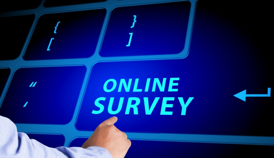 International Survey For Volunteer Managers VolunteerHub Palliative 